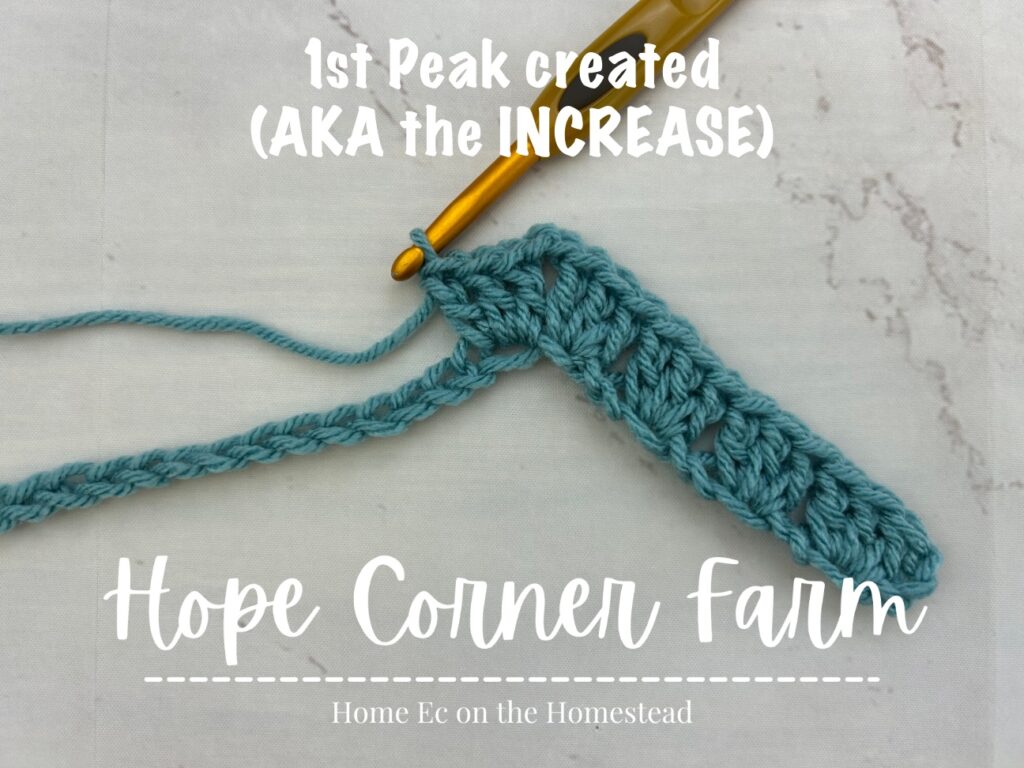 place 3 double crochet in the next chain. 1st peak created