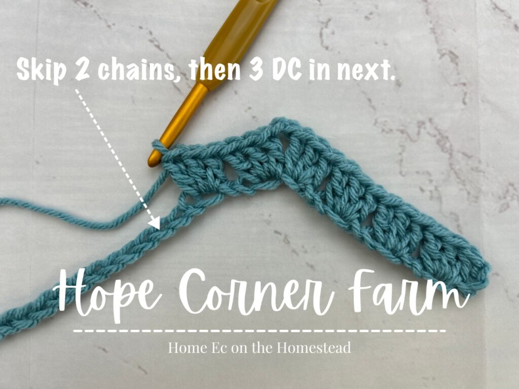 skip 2 chains then 3 DC in the next chain