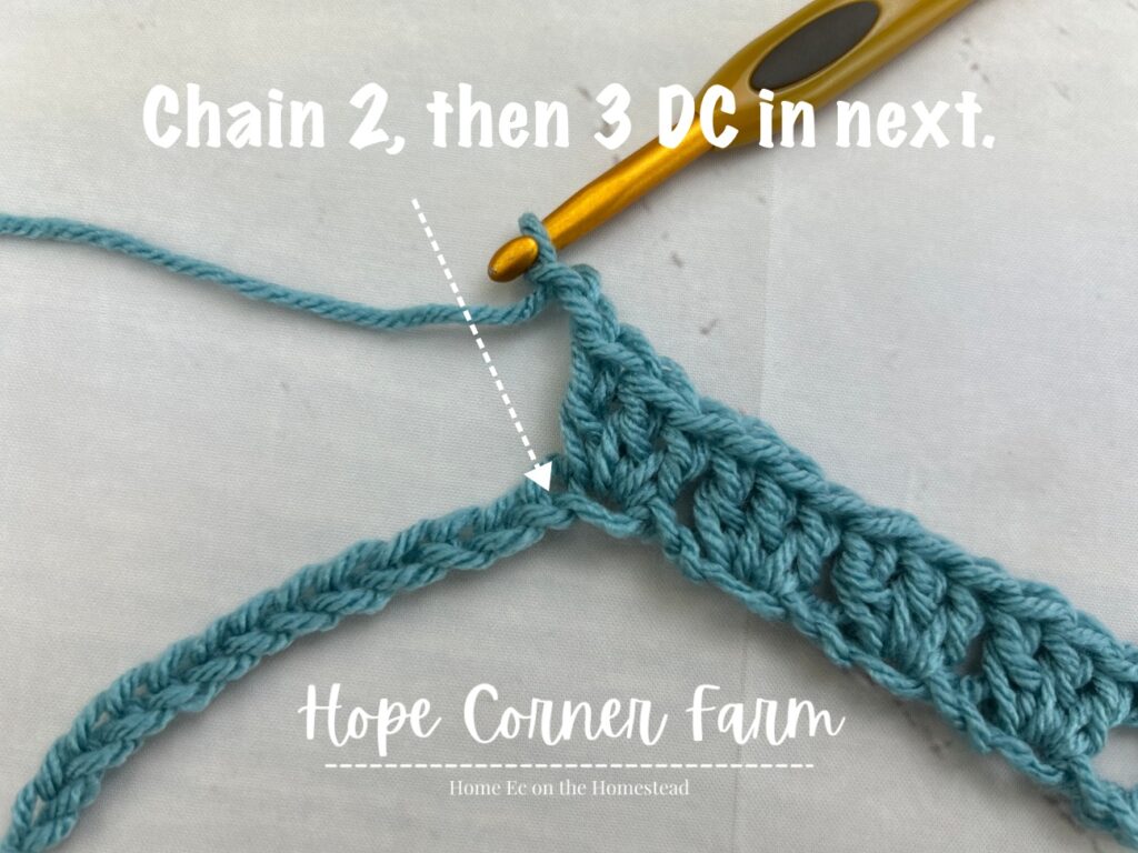 chain 2 and then place 3 DC in the next