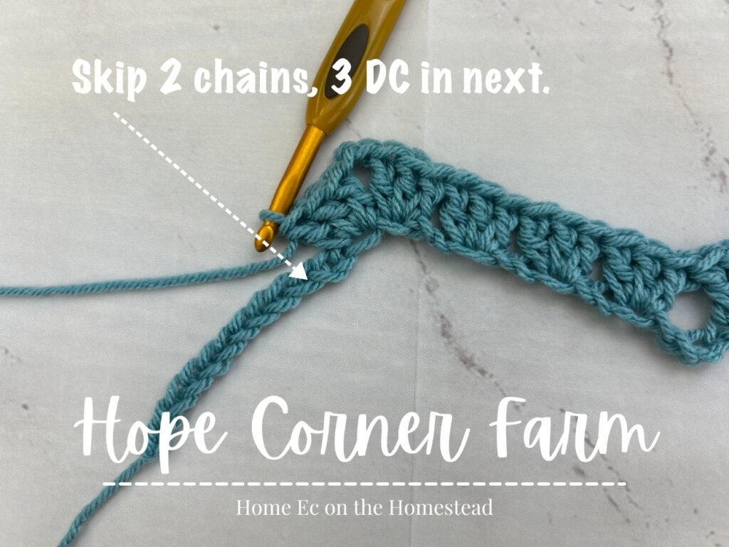 Skip 2 chains and then put 3DC in the next