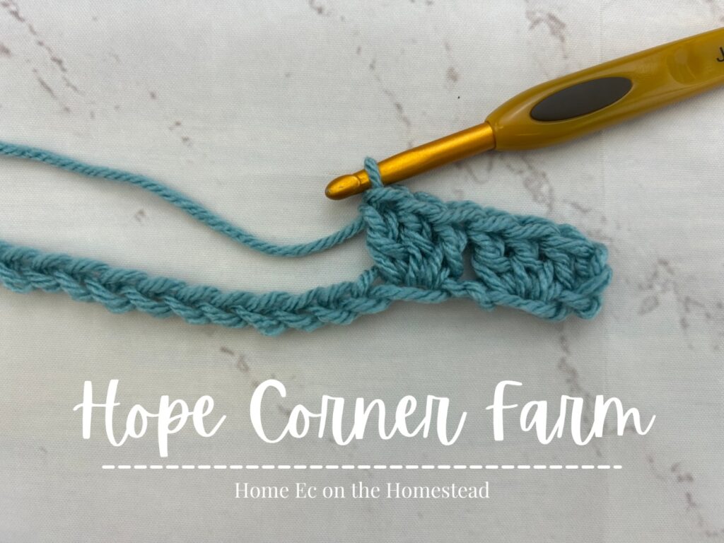 3 double crochet stitches