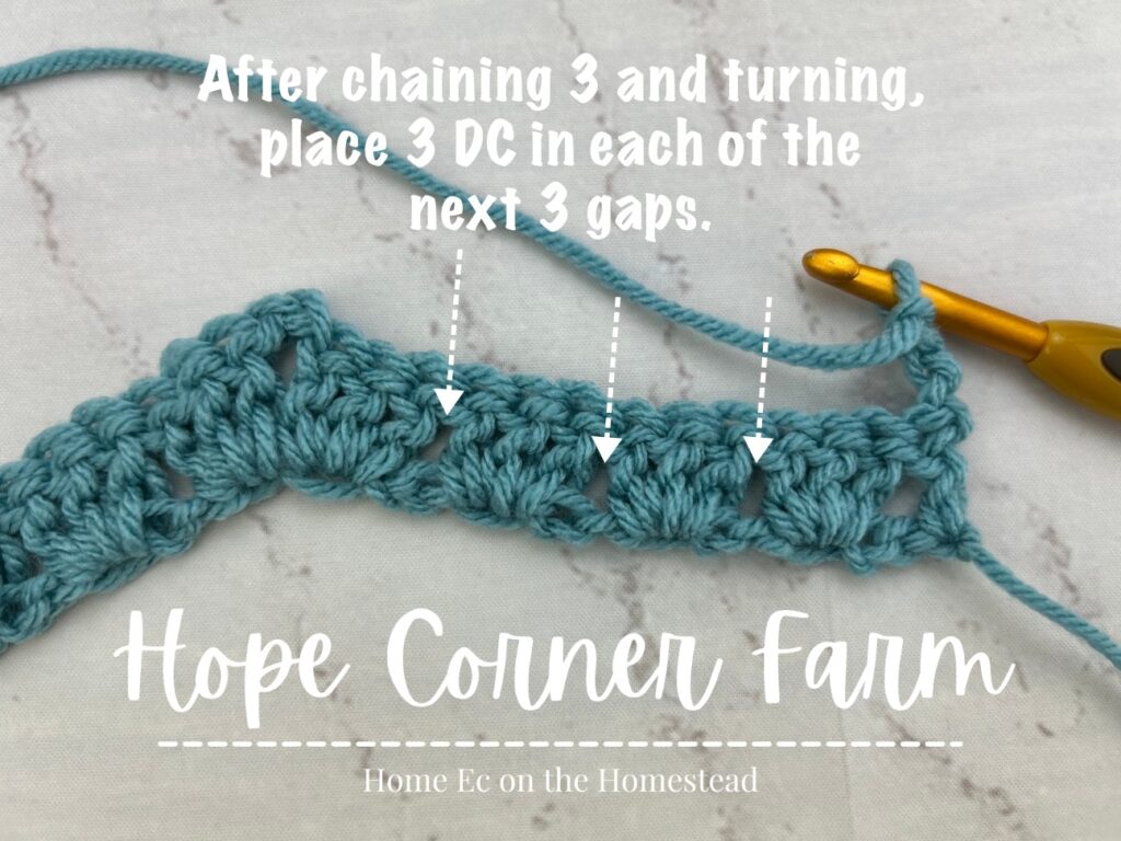 After chaining 3 and turning, place 3 DC in each of the next 3 gaps