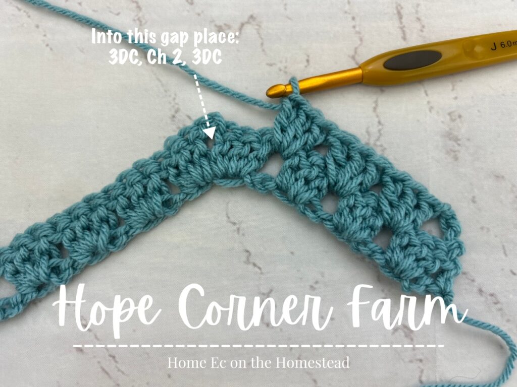 Into the peak gap place 3 double crochets, chain 2, 3 double crochets