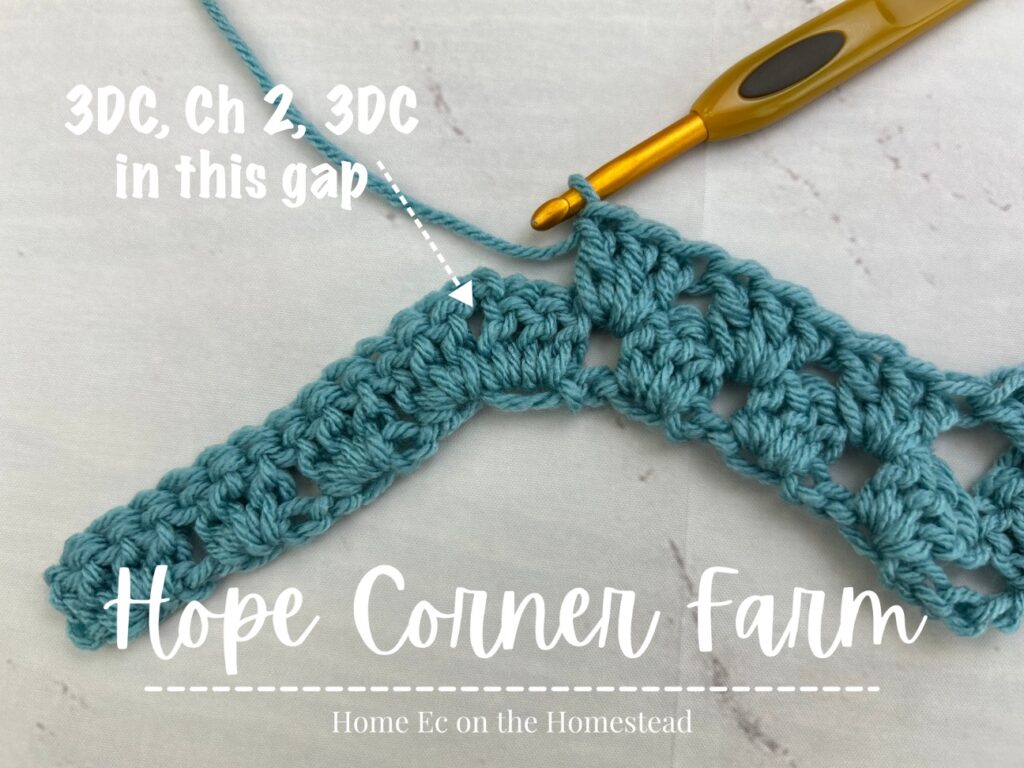 place 3 double crochet stitches, chain 2, 3 double crochet stitches in this space