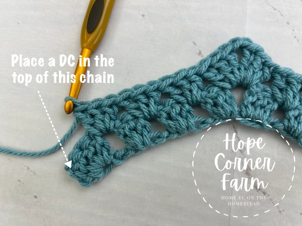 Place a double crochet in the top of the chains from the last row