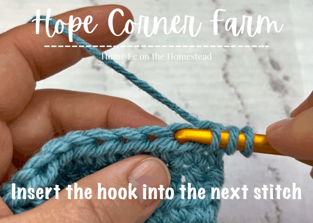 Insert the crochet hook into the next crochet stitch