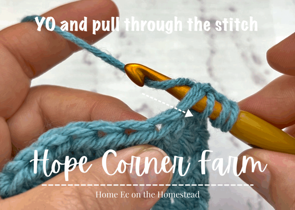 Yarn Over and pull through the crochet stitch