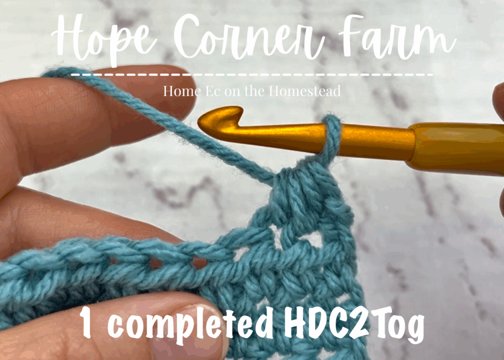 1 completed Half Double Crochet 2 Together Stitch