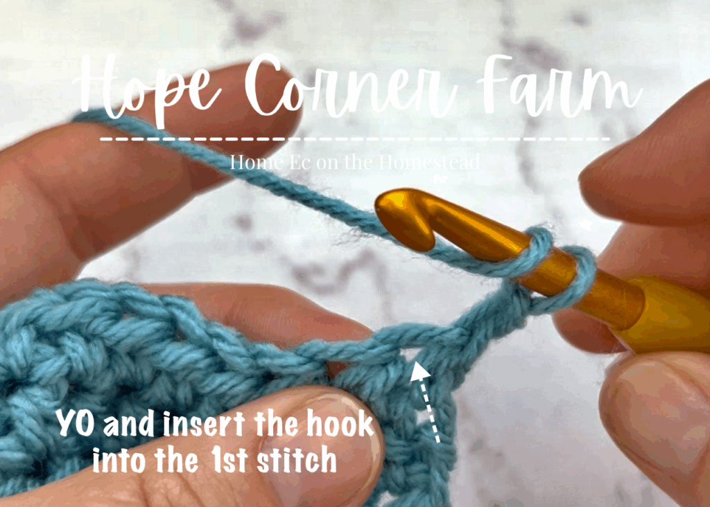 Yarn over and insert the crochet hook into the first stitch