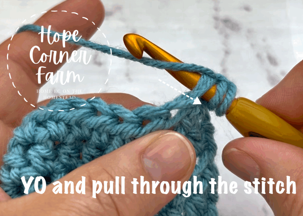 Yarn Over and pull through the stitch