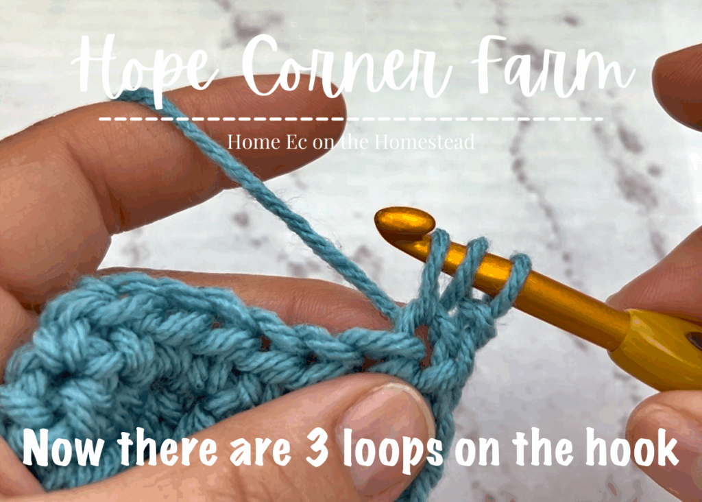 Now there are 3 loops of yarn on the crochet hook
