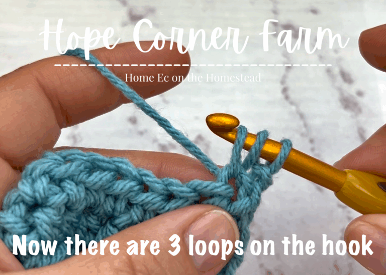 How to Half Double Crochet 2 Together (hdc2tog): Step-by-Step Tutorial ...