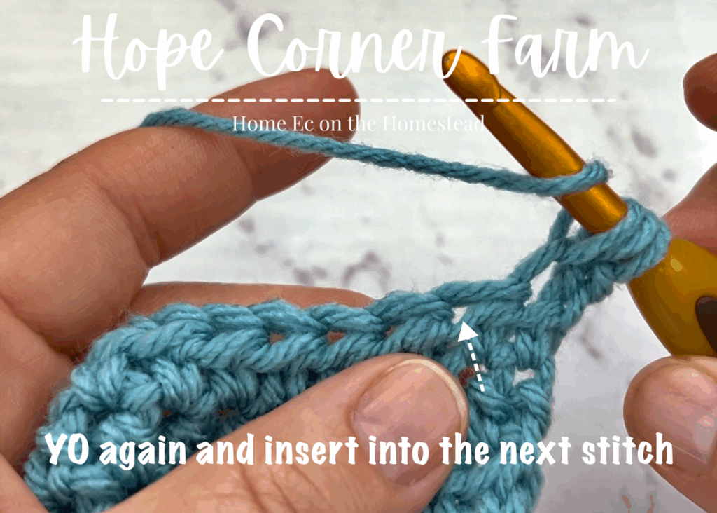 Yarn over again and insert the crochet hook into the next crochet stitch