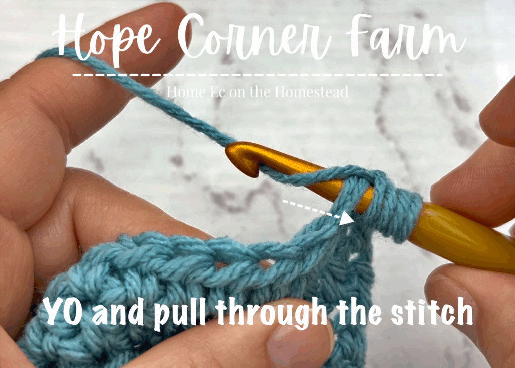 Yarn over and pull through the crochet stitch