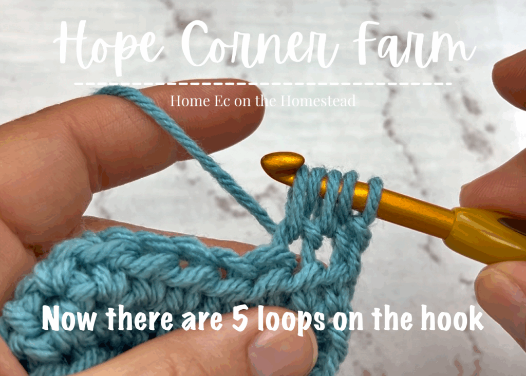 5 loops of yarn on the crochet hook