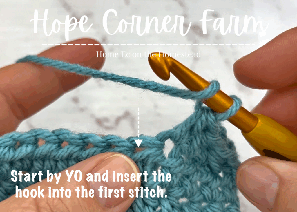 Start by yarning over and inserting the crochet hook into the first stitch