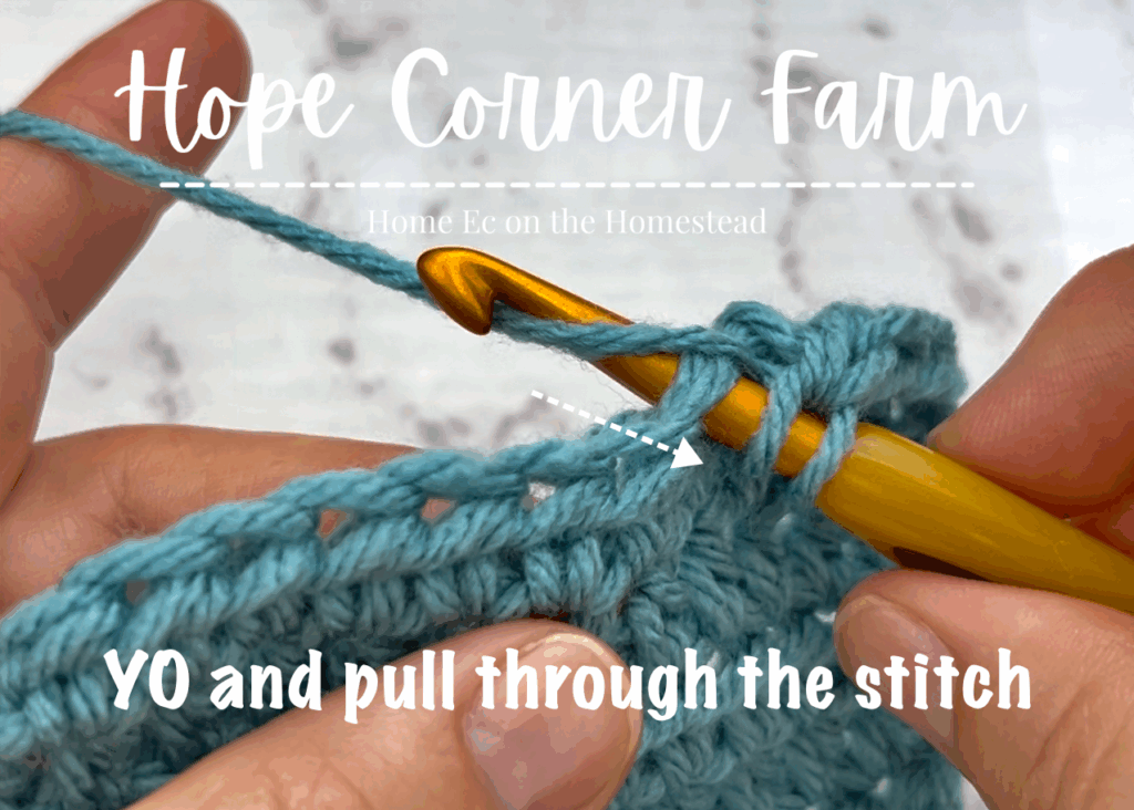 Yarn Over and pull through the crochet stitch