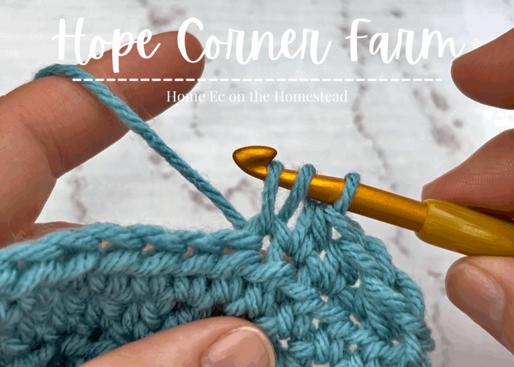 3 loops of yarn on the crochet hook