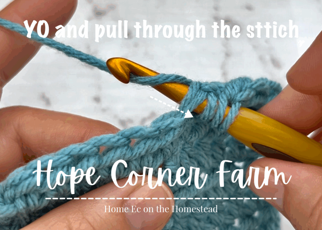 Yarn Over and pull through the stitch
