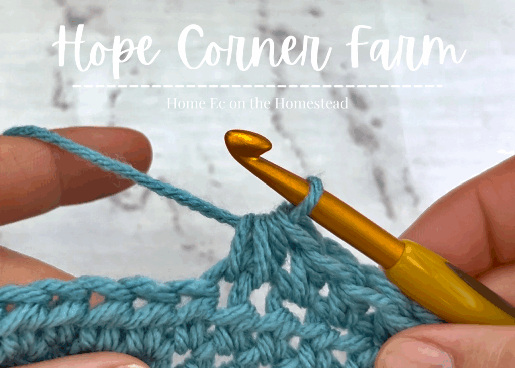 1 completed Half Double Crochet 2 Together Stitch