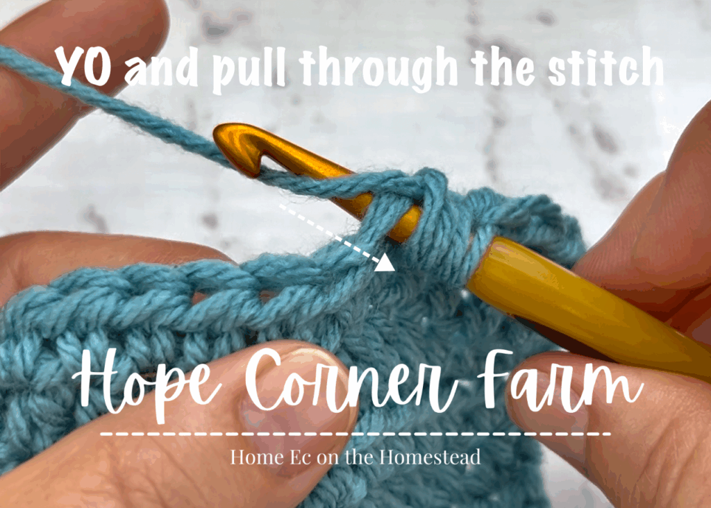 Yarn Over and pull through the crochet stitch