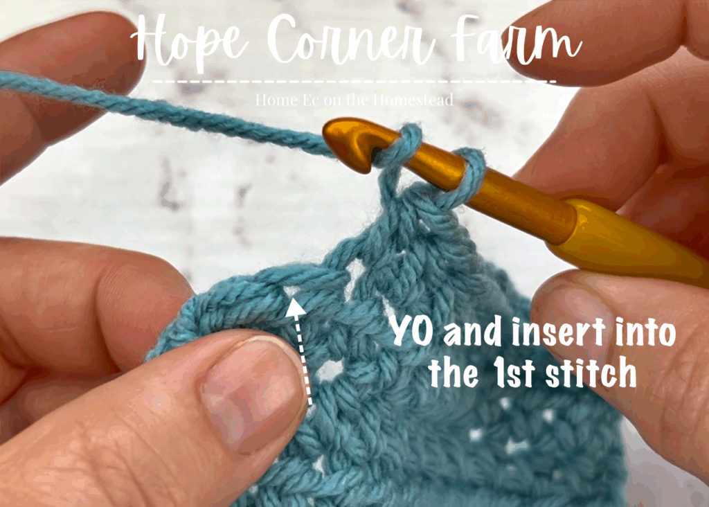 Yarn Over and insert the crochet hook into the first stitch