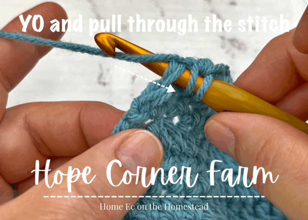 Yarn over and pull through the crochet stitc