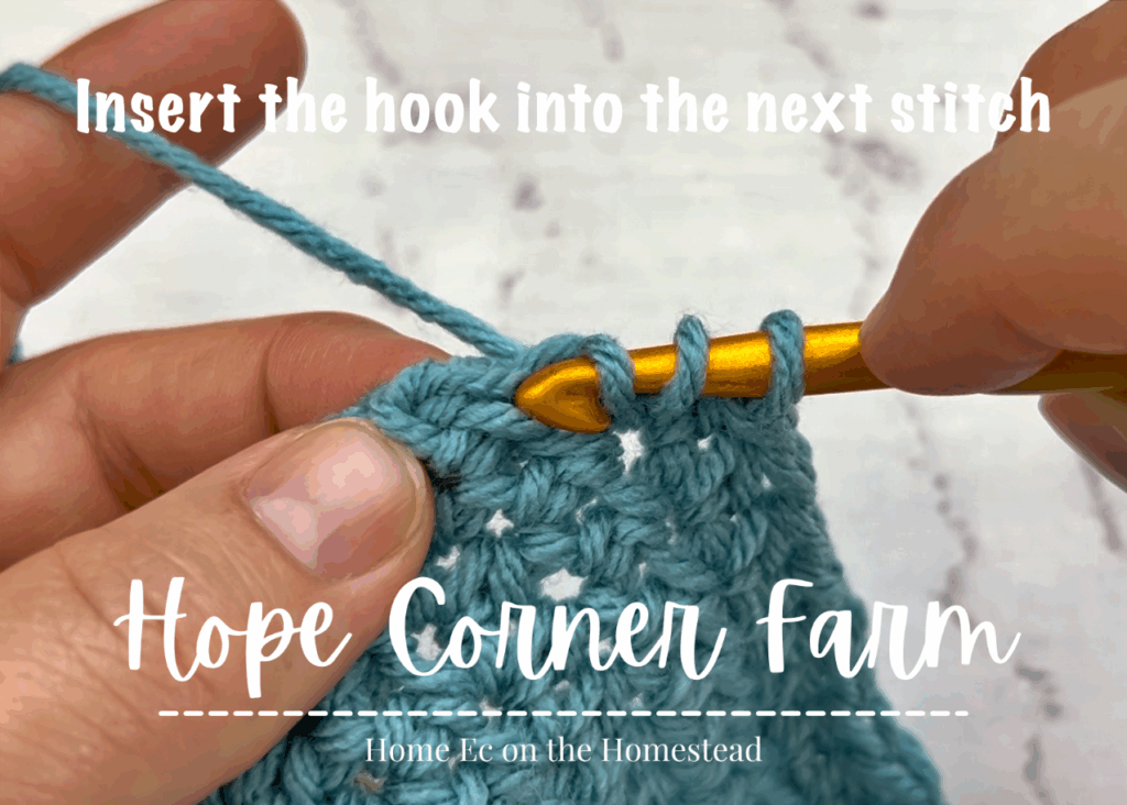 Insert the crochet hook into the next stitch