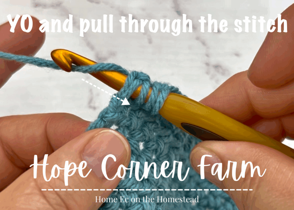 Yarn Over and pull through the crochet stitch