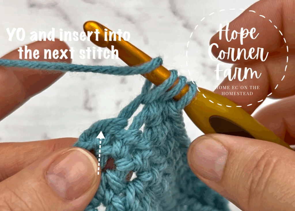 Yarn over and insert the crochet hook into the next stitch