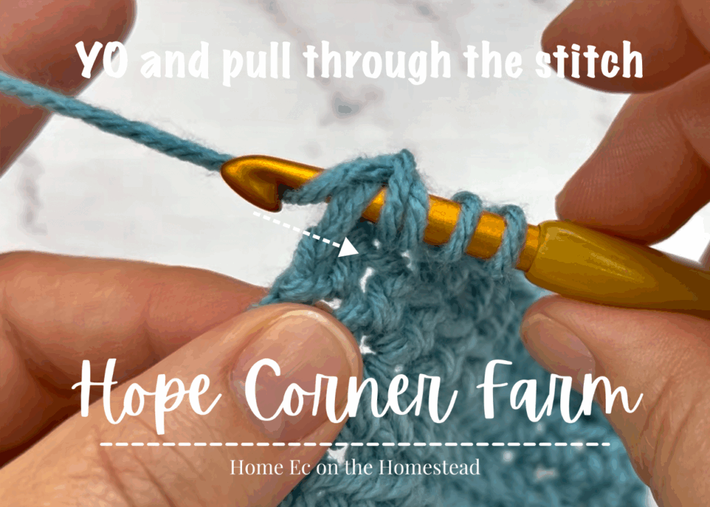 Yarn over and pull through the crochet stitch