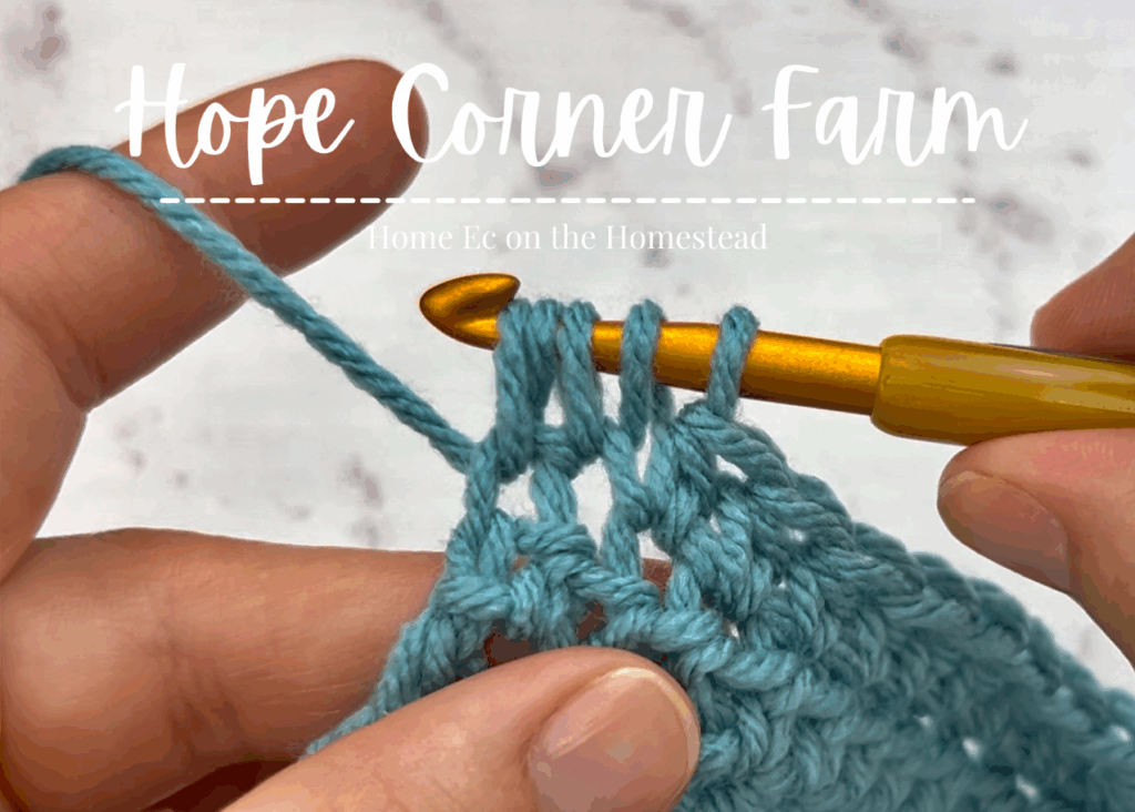 Now there are 5 loops of yarn on the crochet hook