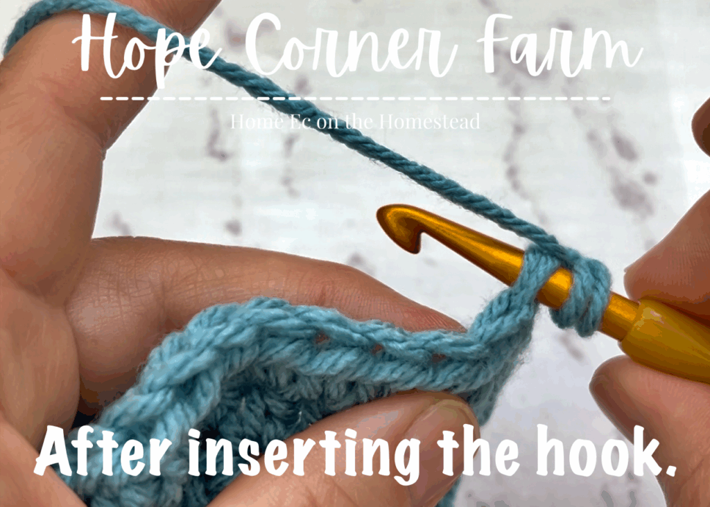 Insert the crochet hook into the crochet stitch