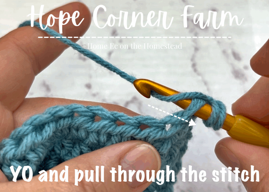Yarn Over and pull through the crochet stitch