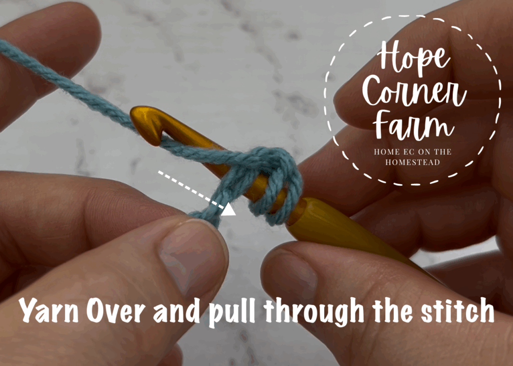 Yarn over and pull through the stitch