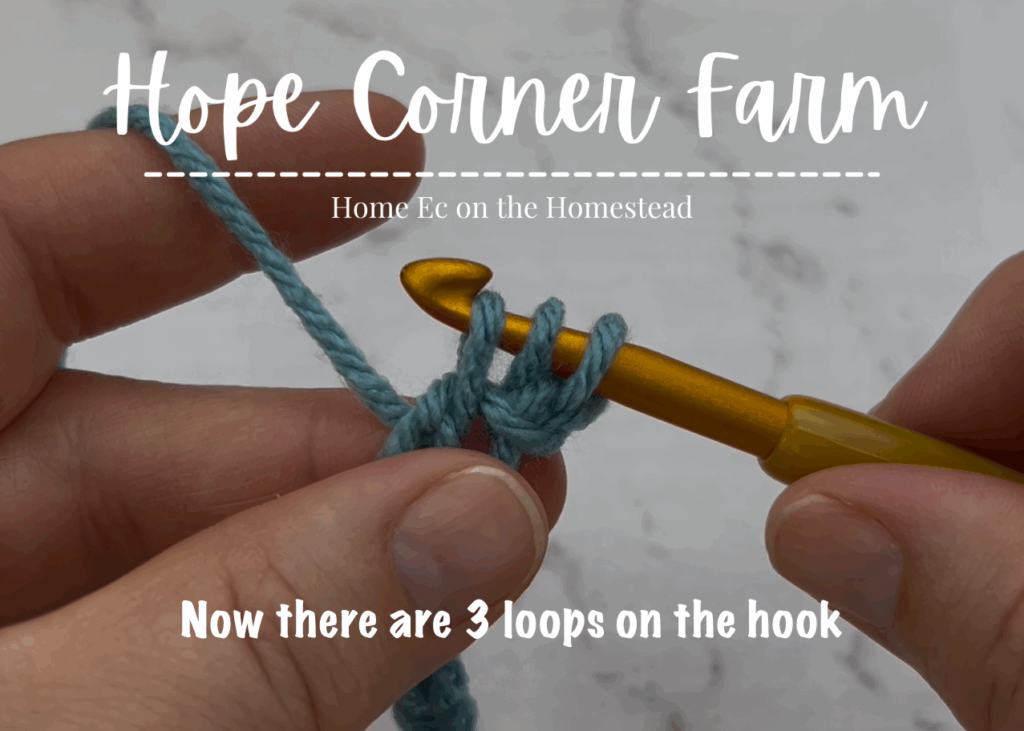 Now there are 3 loops of yarn on the crochet hook