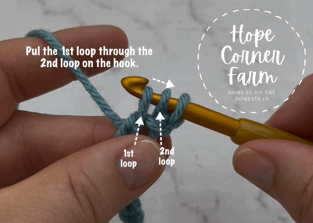 Pull the first loop through the second loop on the hook