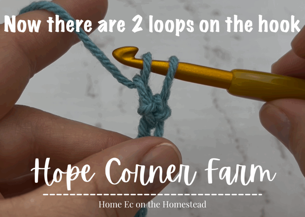 Now there are 2 loops on the crochet hook