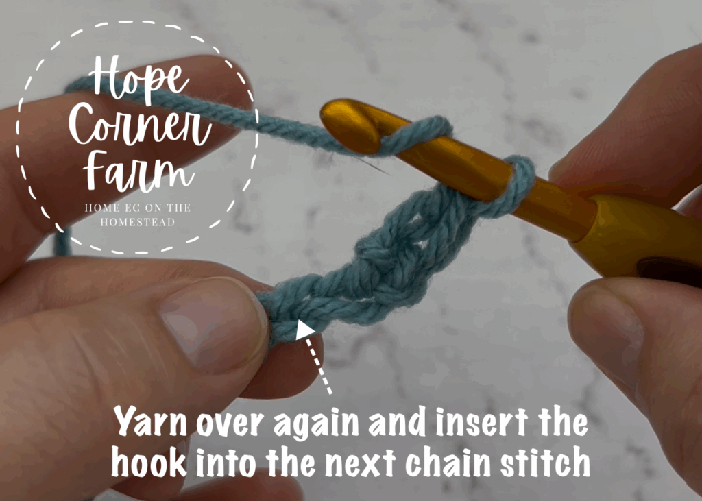 Yarn over again and insert the hook into the next stitch