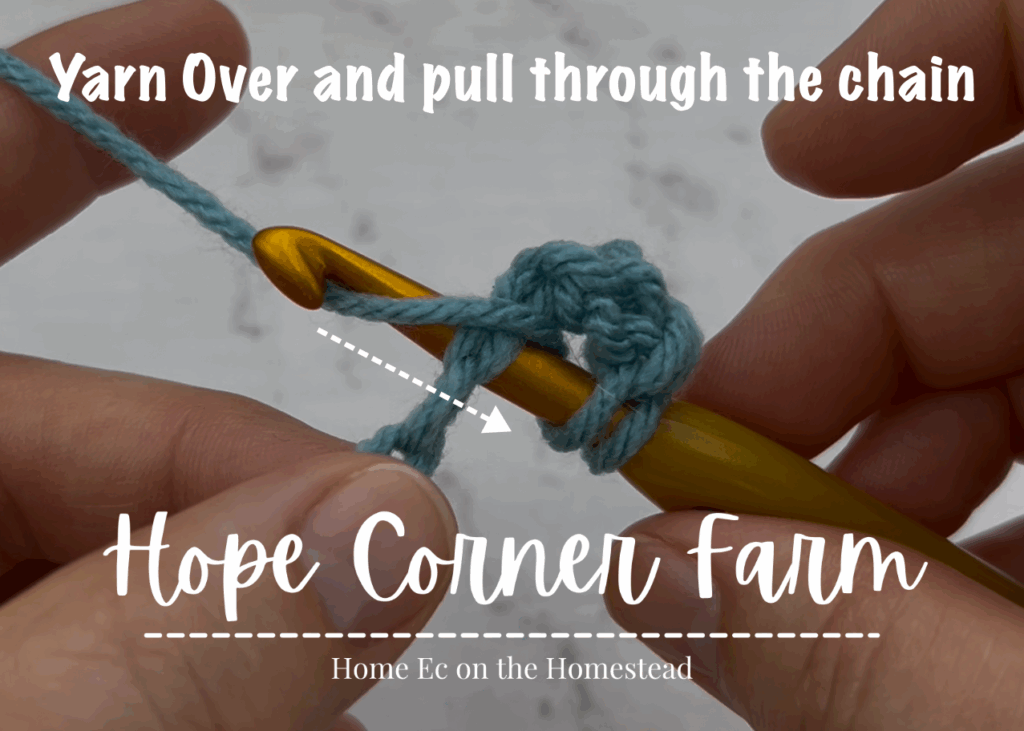 Yarn over and pull through the chain