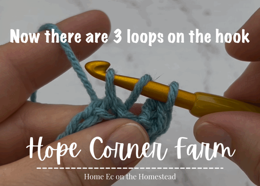 3 loops of yarn on the hook