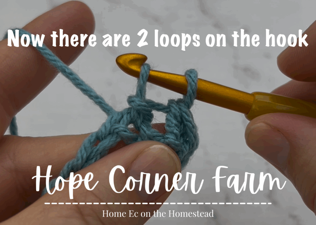 Now there are 2 loops on the crochet hook