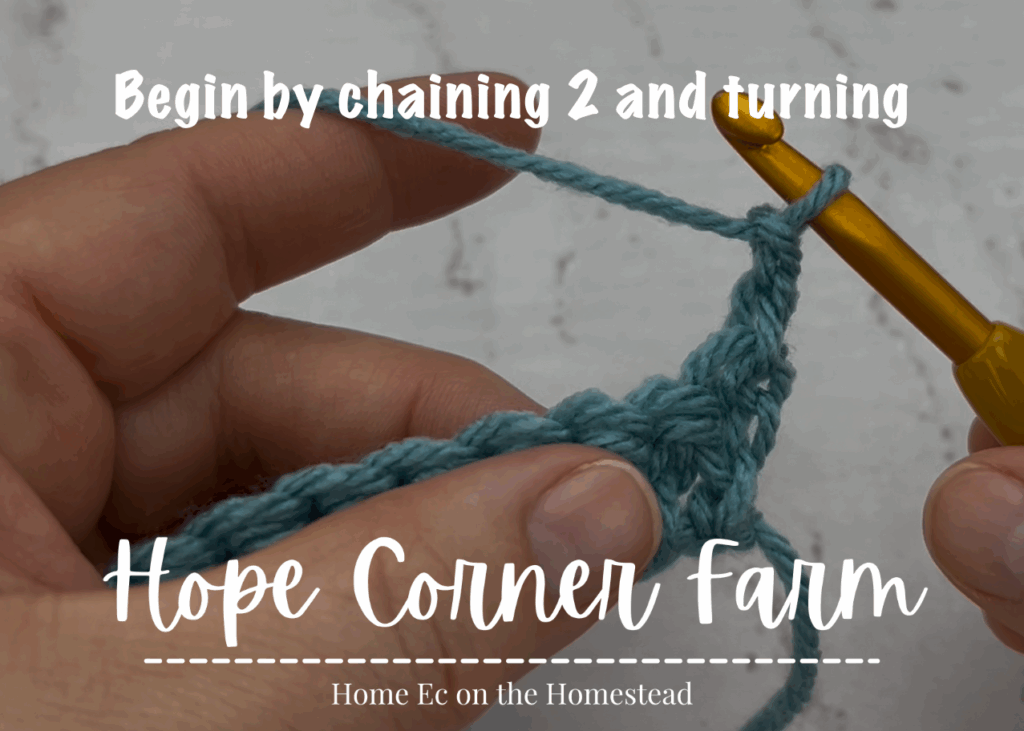 Begin by chaining 2 and turning