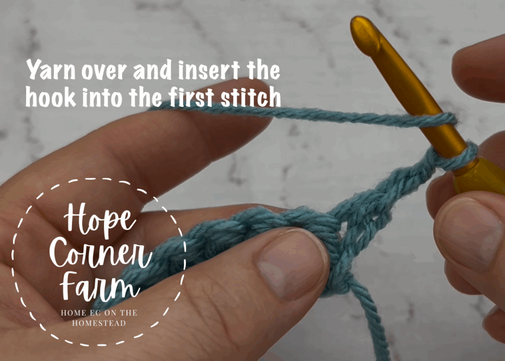 YO and insert the hook into the 1st stitch