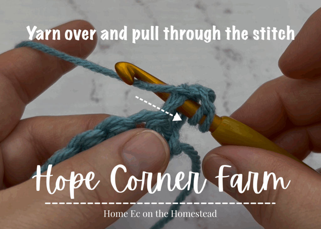 Yarn Over and pull through the stitch
