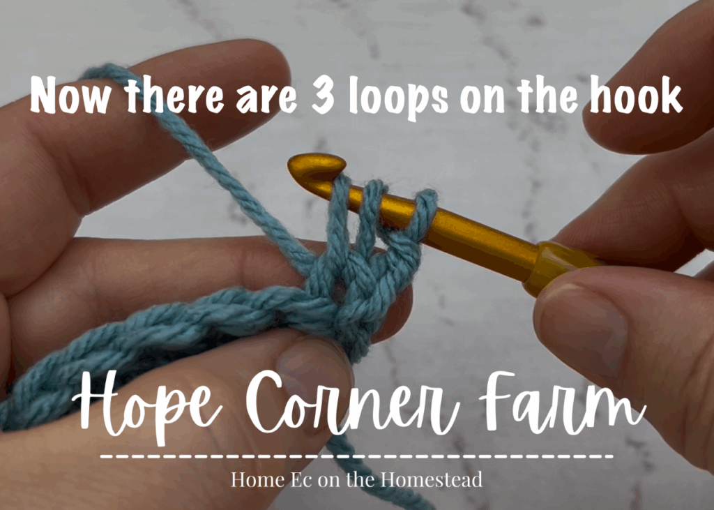 3 loops of yarn on the crochet hook