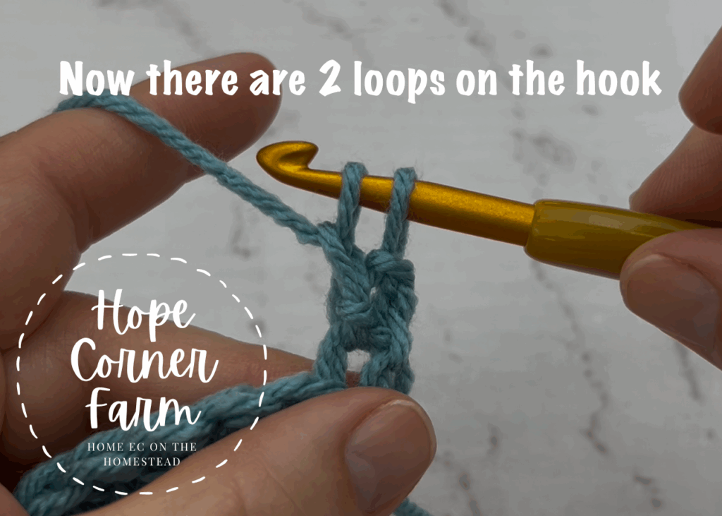 There are 2 loops of yarn on the crochet hook