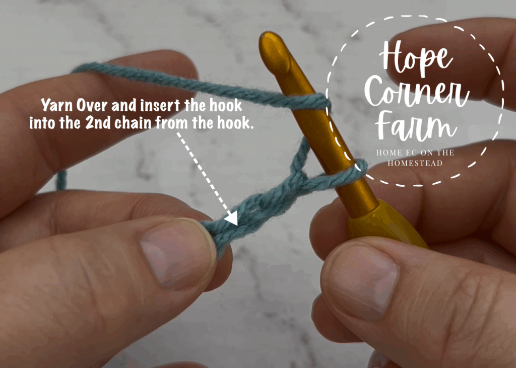 Yarn over and insert the hook into the chain
