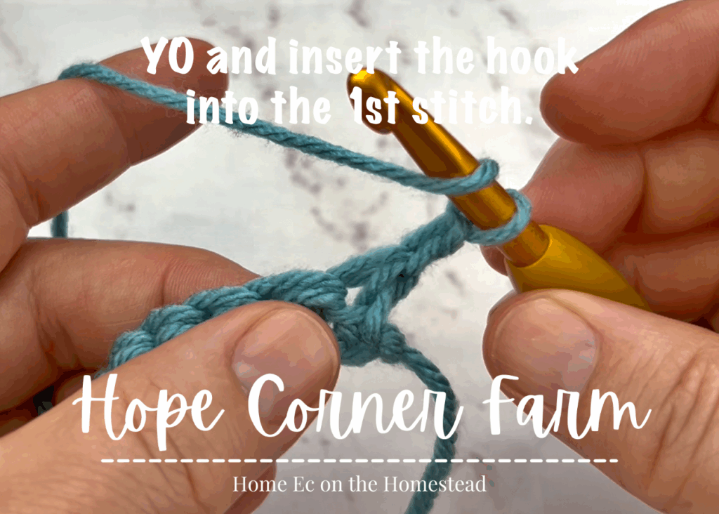 Yarn over and insert the crochet hook into the first stitch