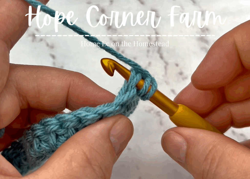 After inserting the crochet hook